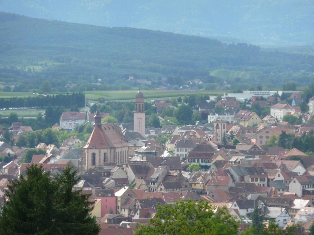 Sur Les Toits - Gite De Charme*** A 25Km De Strasbourg Wasselonne Exteriör bild