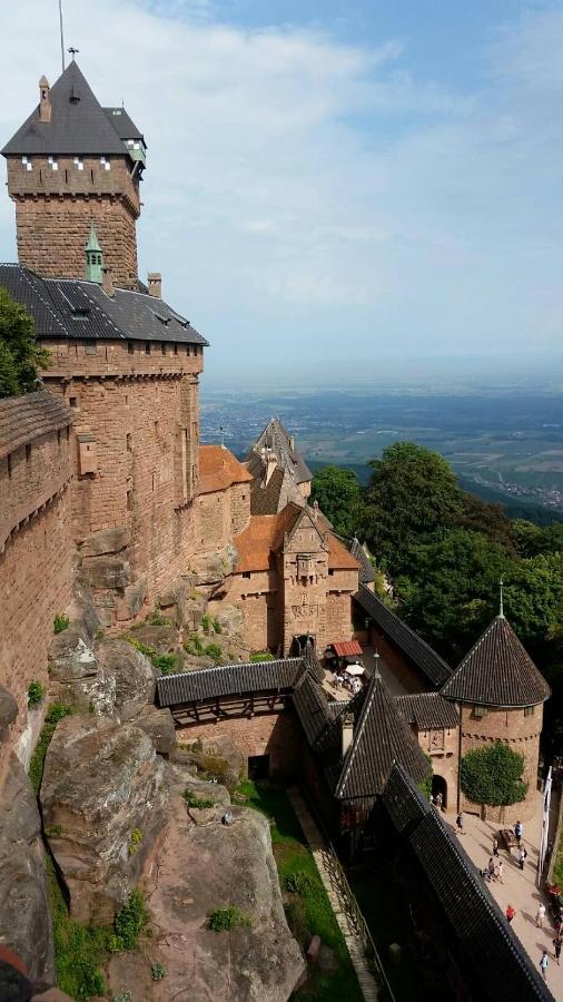 Sur Les Toits - Gite De Charme*** A 25Km De Strasbourg Wasselonne Exteriör bild